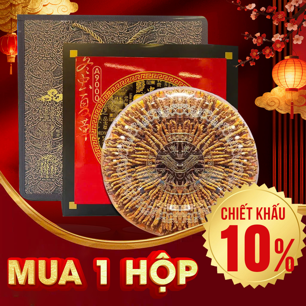 Đông Trùng Hạ Thảo Nguyên Con VIP1 Hộp 100g – Size 300