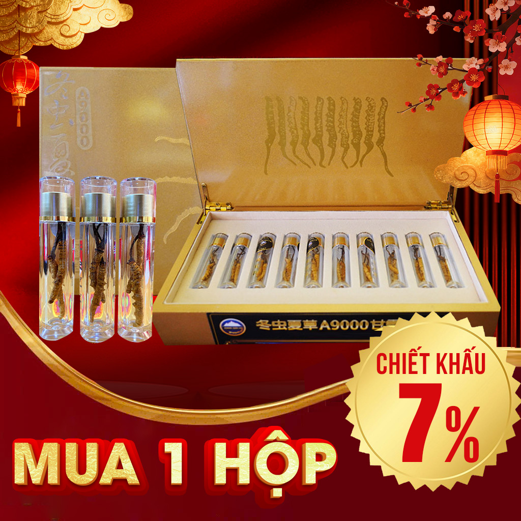 Con Đông Trùng Hạ Thảo Tự Nhiên VIP 5g/hộp D400-5V1