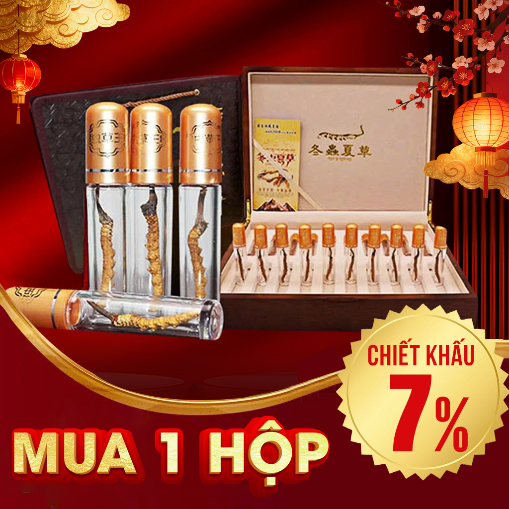 Đông Trùng Hạ Thảo Nguyên Con Tây Tạng 20g/hộp D400-20V1