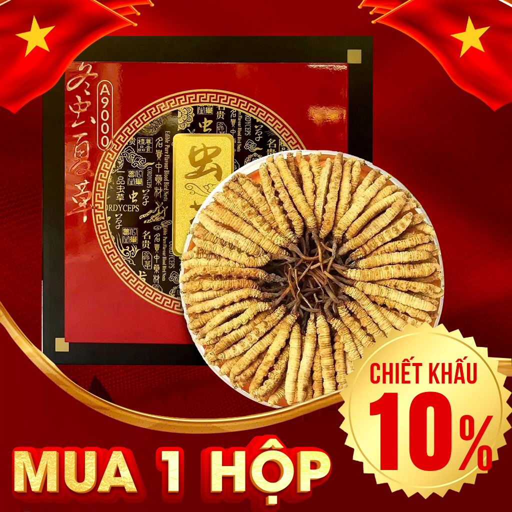 Đông Trùng Hạ Thảo Nguyên Con VIP1 Hộp 50g – Size 300 Con/ Lạng