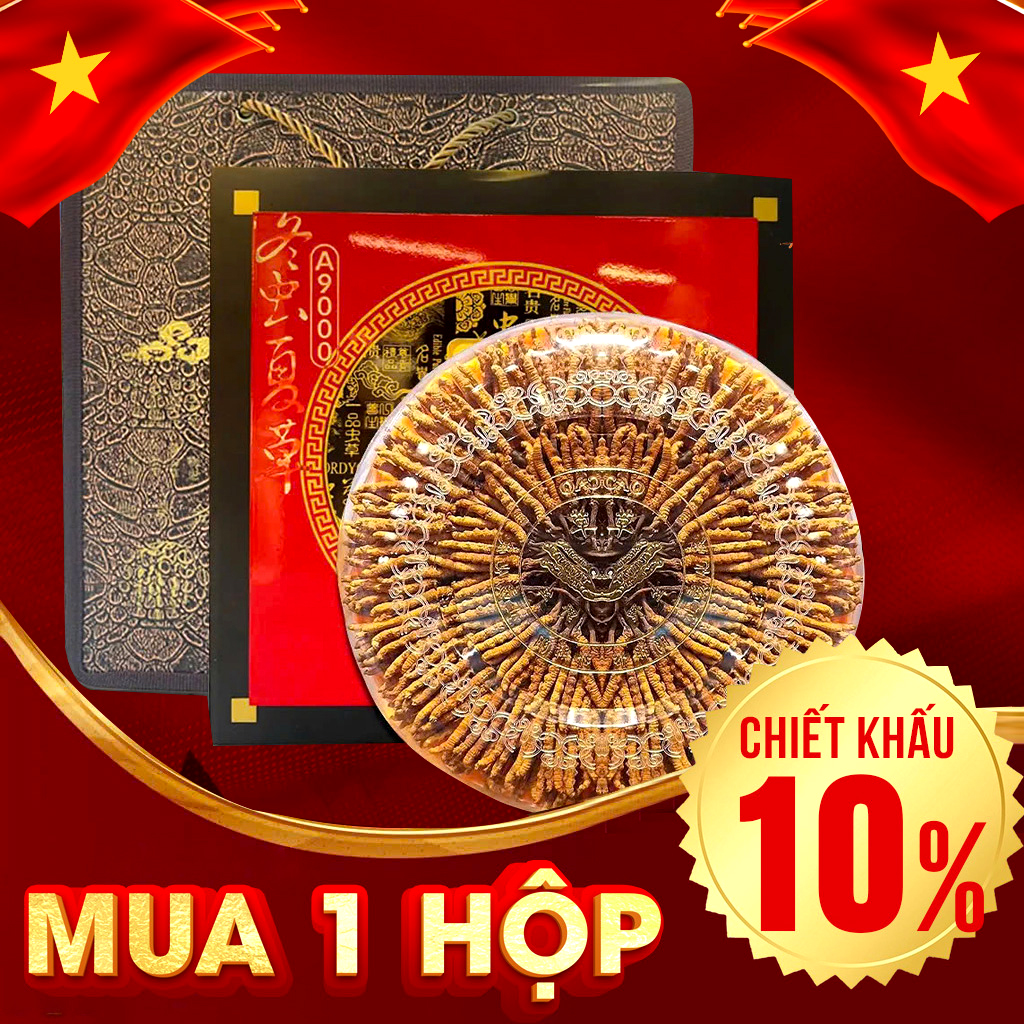 Đông Trùng Hạ Thảo Nguyên Con VIP1 Hộp 100g – Size 300